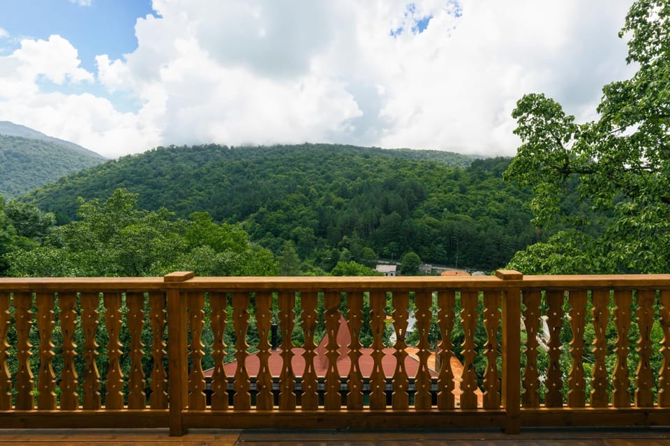 Natural landscape, View (from property/room), Balcony/Terrace, Mountain view