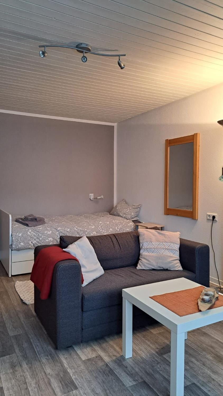 Bed, Living room, Photo of the whole room, Seating area, Bedroom