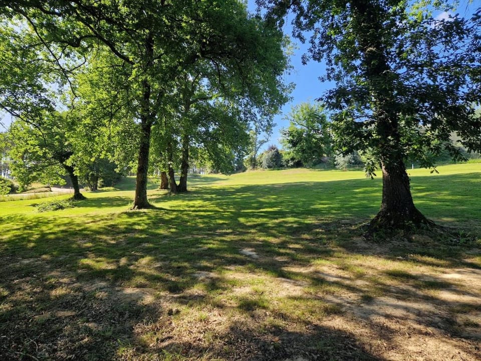 L'Ecrin du golf Apartment in Occitanie