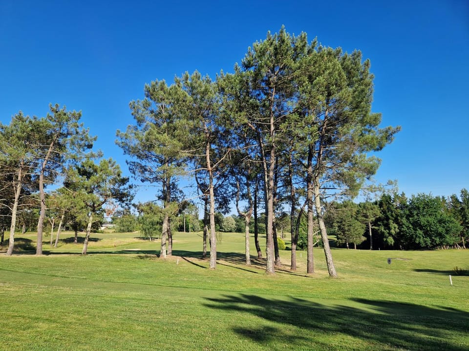 Golfcourse