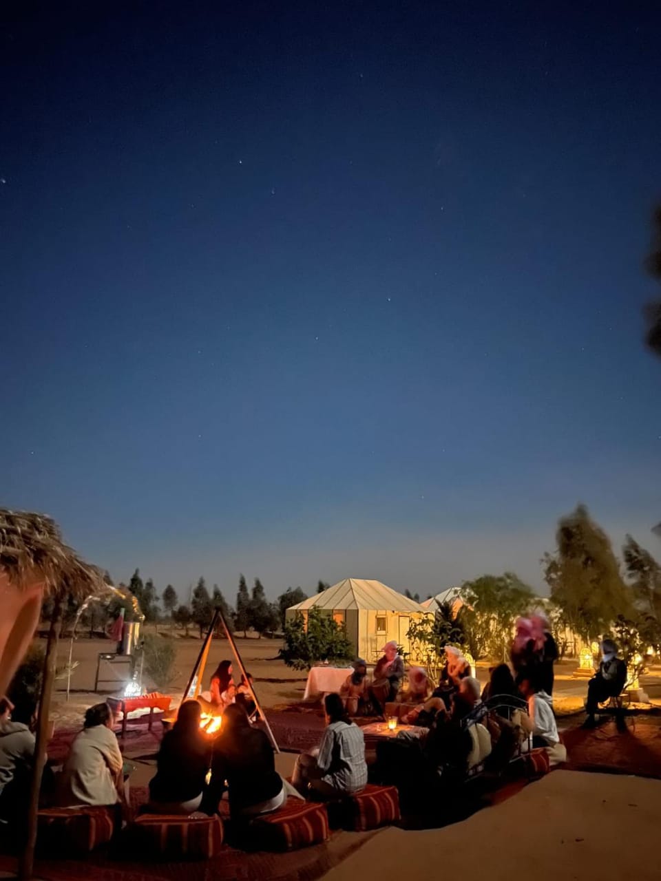 Night, People, group of guests