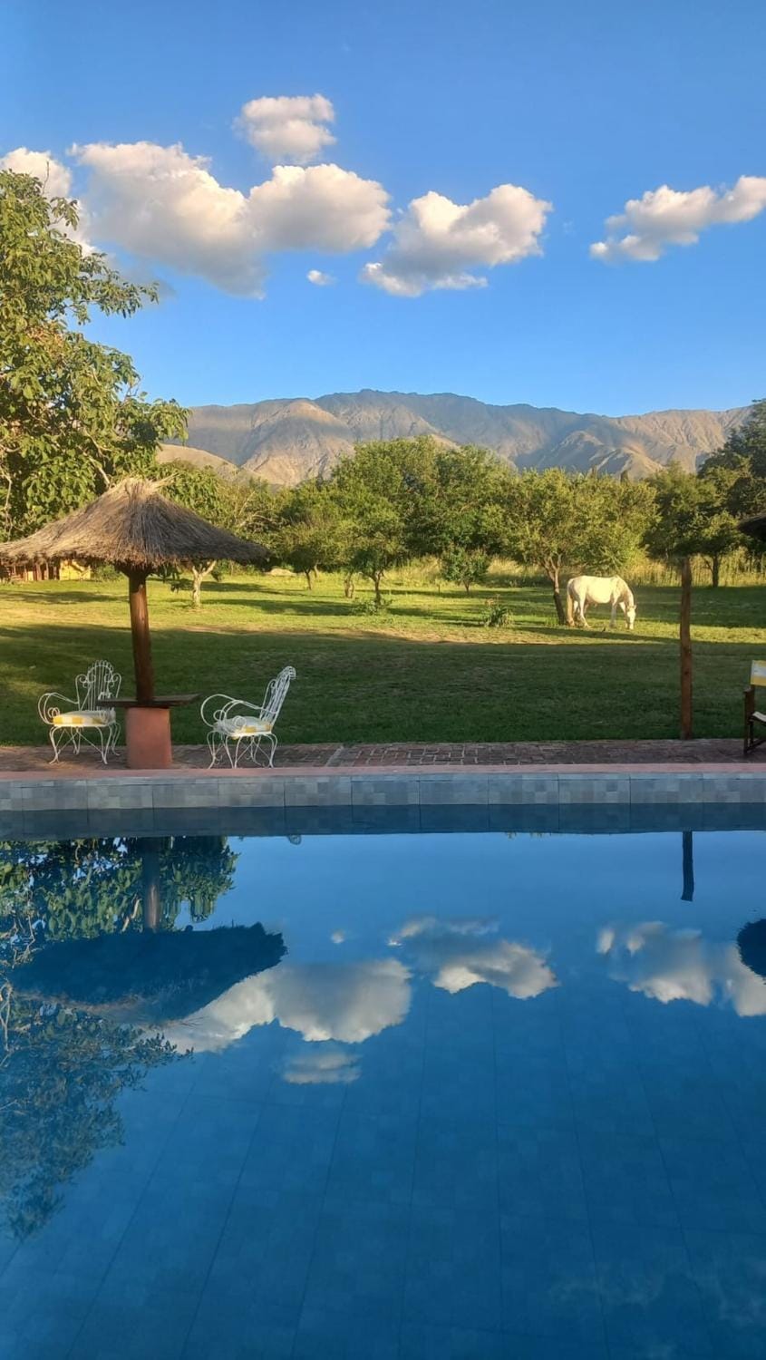 Zorzales en Bendita Tierra, Los Molles House in San Luis Province, Argentina