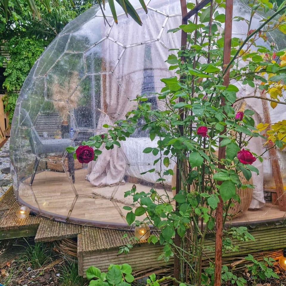 BeMe signature Dôme avec spa et piscine privatif Luxury tent in Flanders