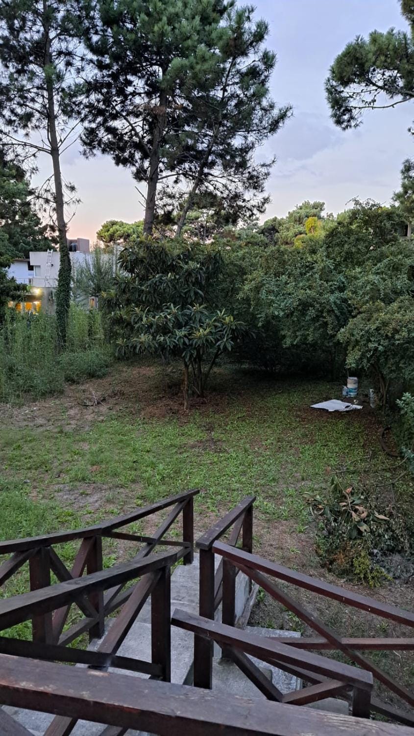 Natural landscape, Garden, Garden view