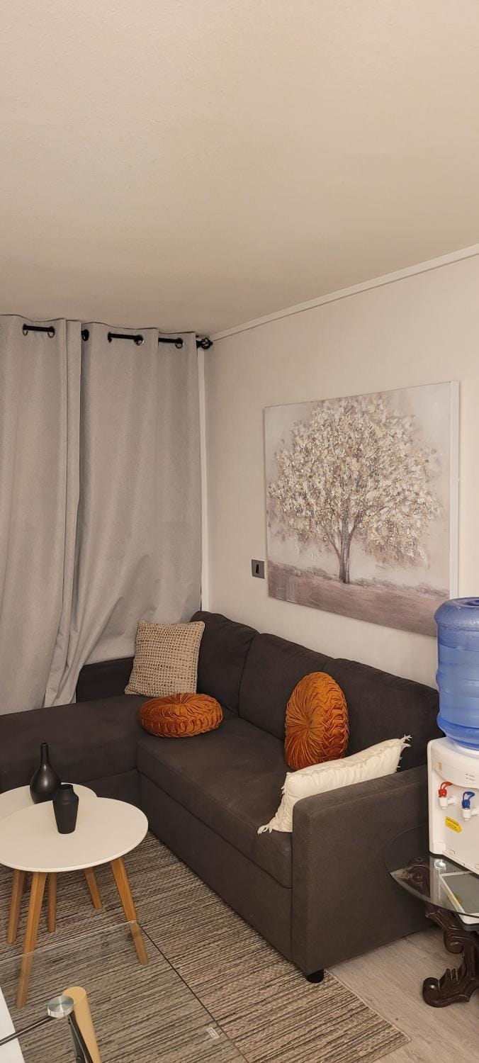 siéntete cómo en casa Apartment in Santiago