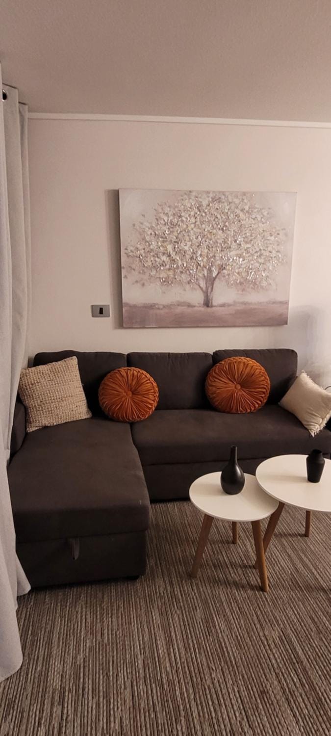 siéntete cómo en casa Apartment in Santiago