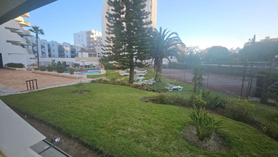 Garden, Garden view, Swimming pool