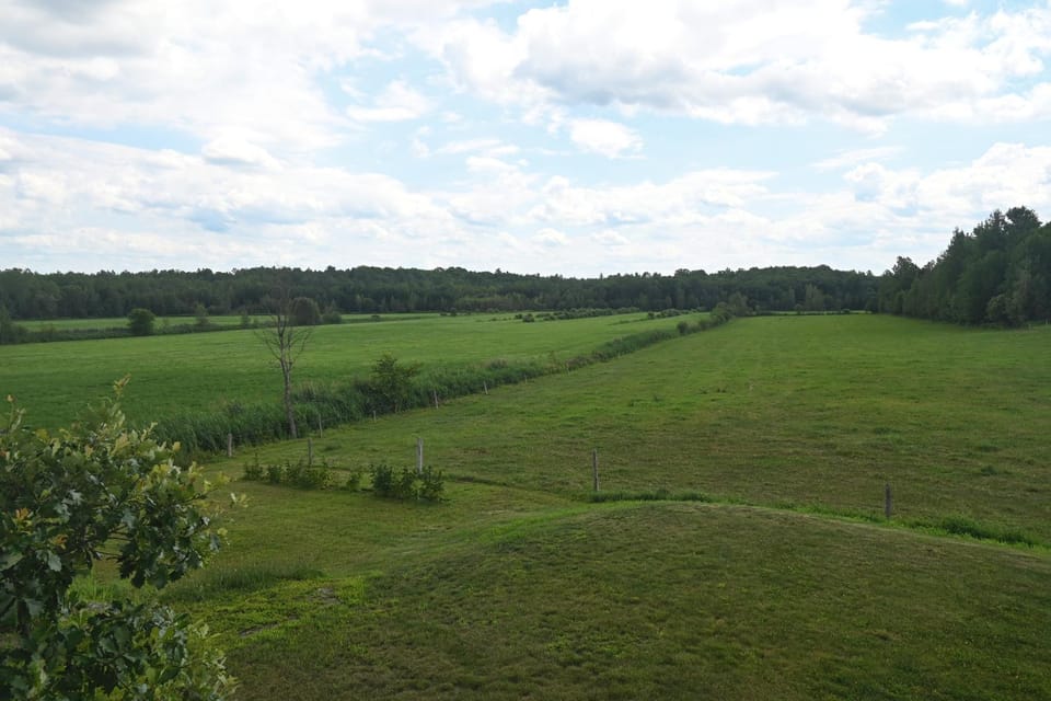 Natural landscape