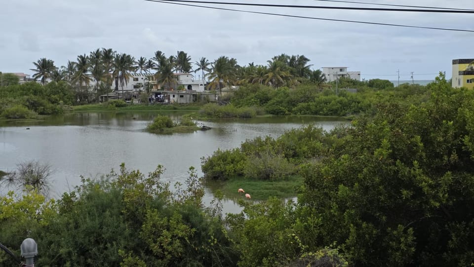 Lake view