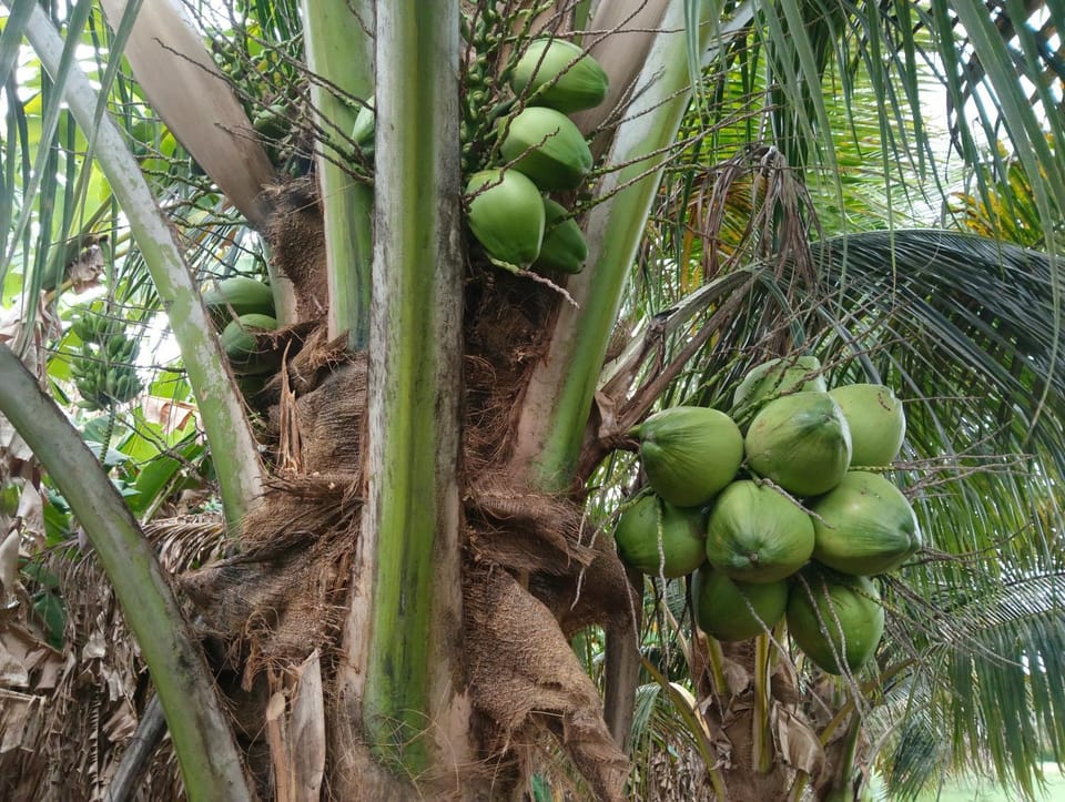 SKR vrindavan garden Farm Stay in Tamil Nadu