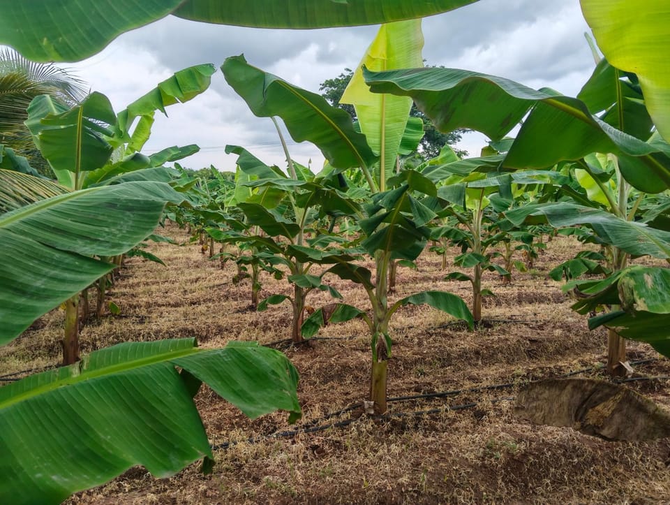 SKR vrindavan garden Farm Stay in Tamil Nadu
