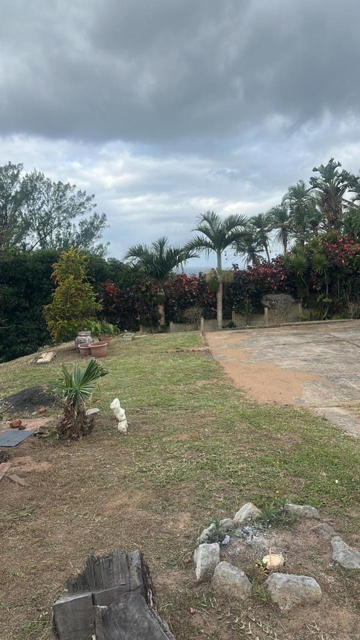 Natural landscape, Garden, Garden view