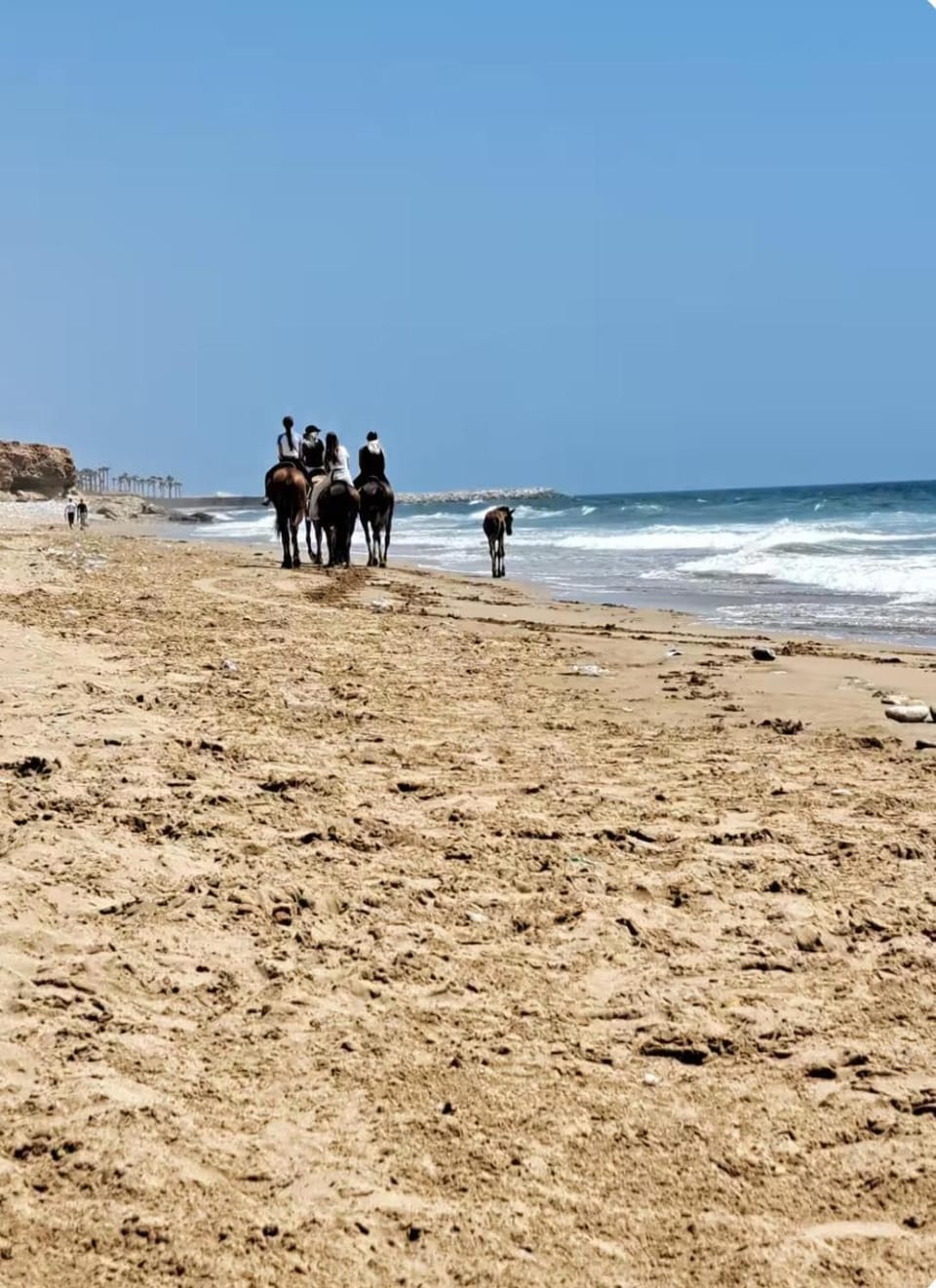 Adan Beach Apartment in Souss-Massa