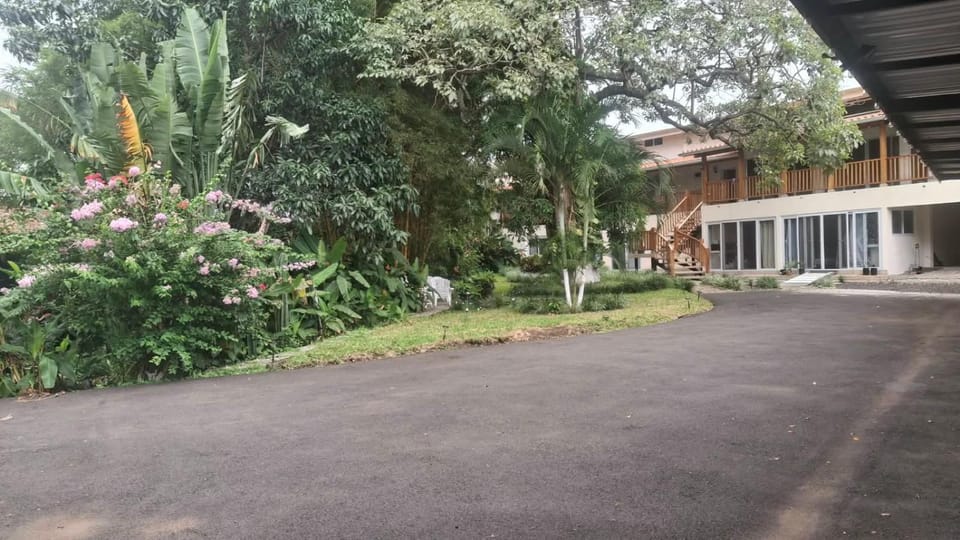 Garden, Garden view