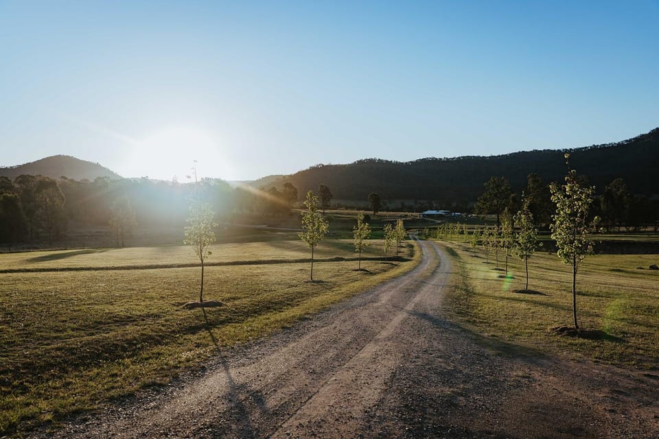 Natural landscape
