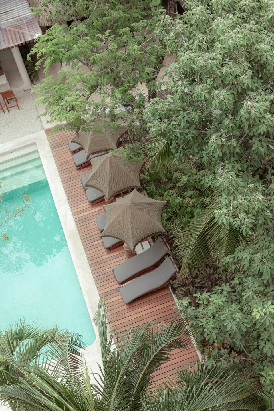 Garden view, Swimming pool