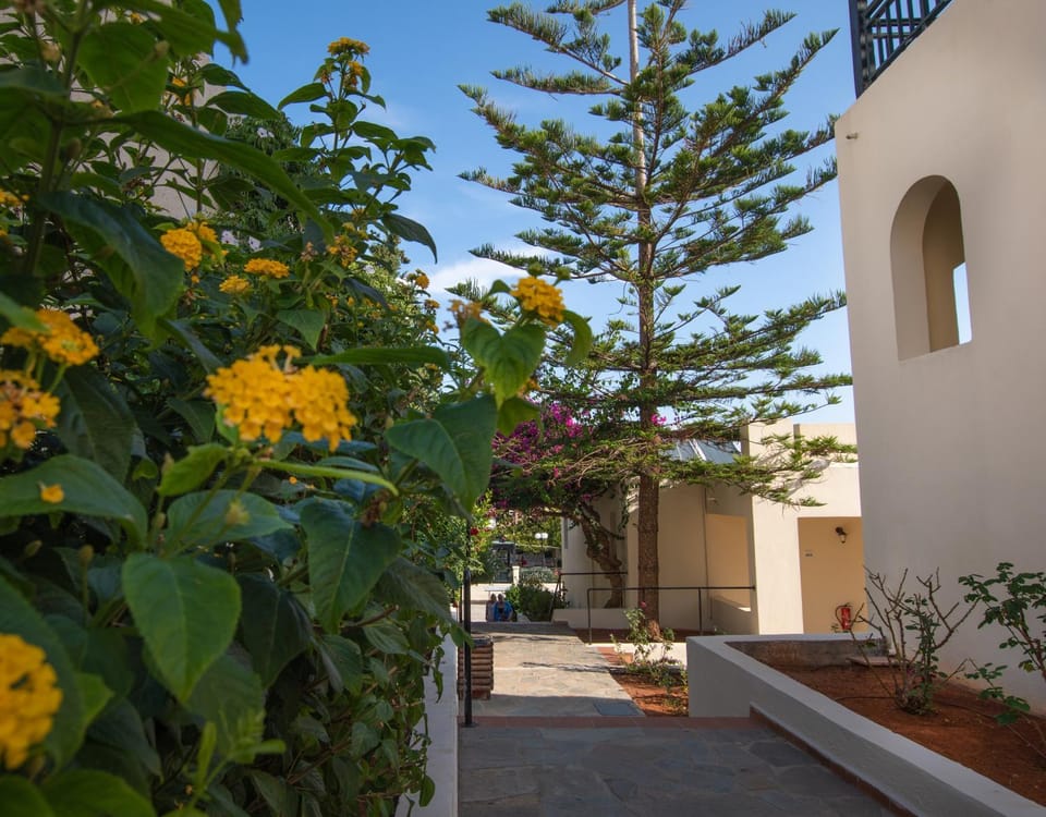 Property building, Garden