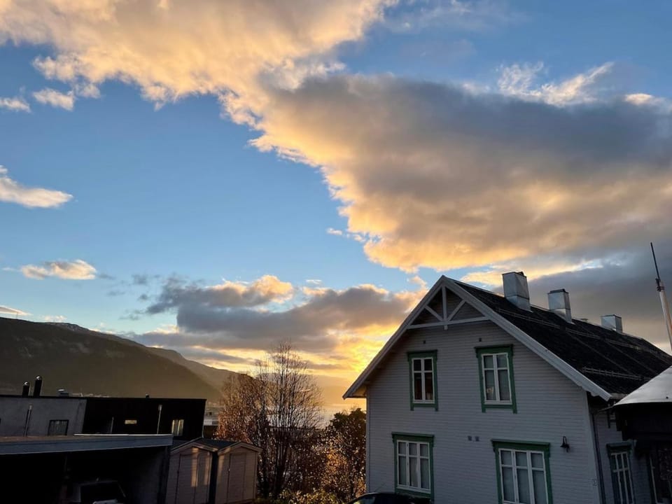 Bright and cozy apartment, 3 bedrooms Apartment in Nordland, Norway