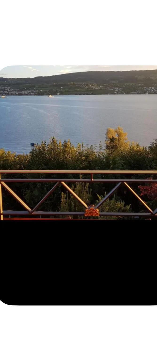Schönes Doppelzimmer mit Bad, Seeblick und Pool Bed and Breakfast in Canton of Zurich