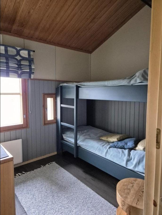 Bed, Photo of the whole room, Bedroom, bunk bed