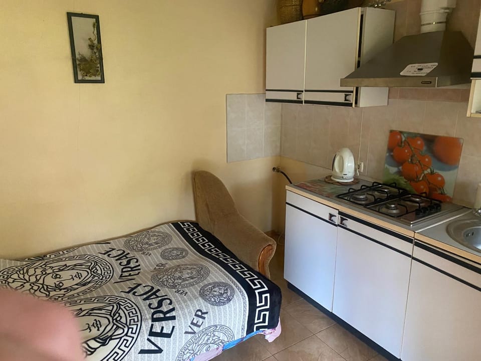 Отдельный летний домик со всеми удобствами Apartment in Odessa