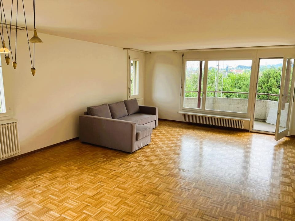 3 Room Old Town Flat - MunsterF Apartment in Zurich City