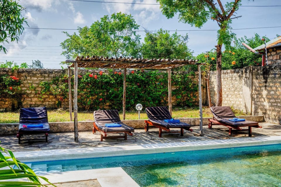 Patio, Spring, Day, Garden, Garden view, Pool view, Swimming pool, Swimming pool, sunbed