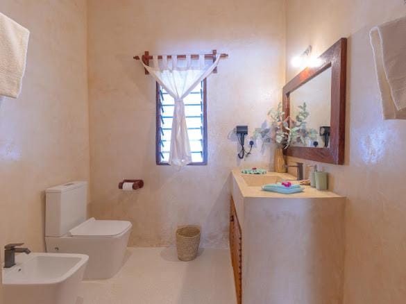 Toilet, Bathroom, bidet