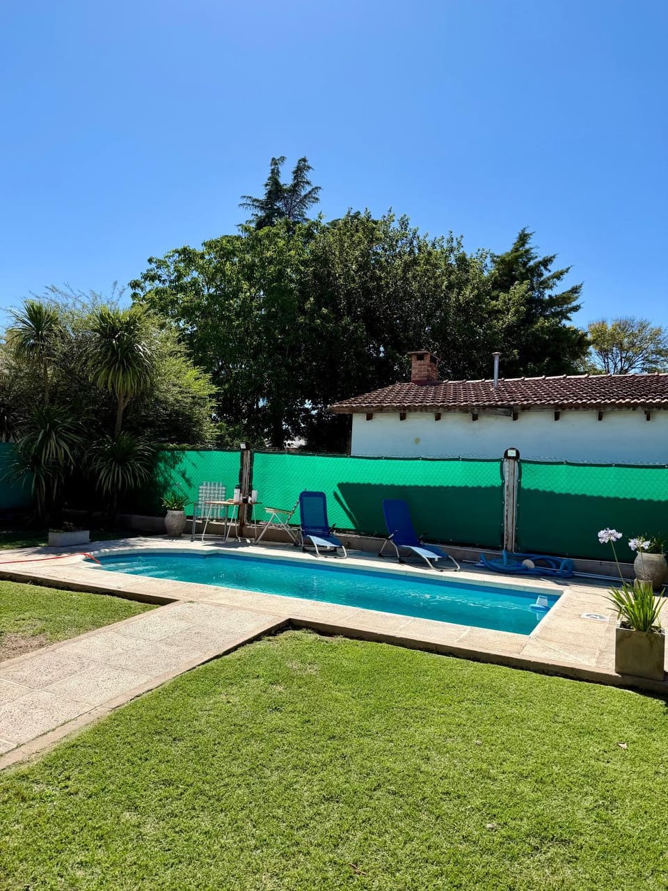 Spring, Day, Garden, Garden view, Pool view, Swimming pool, sunbed