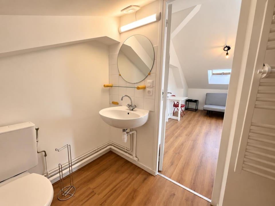 Studio loft sous les toits en centre-ville Apartment in Clermont-Ferrand