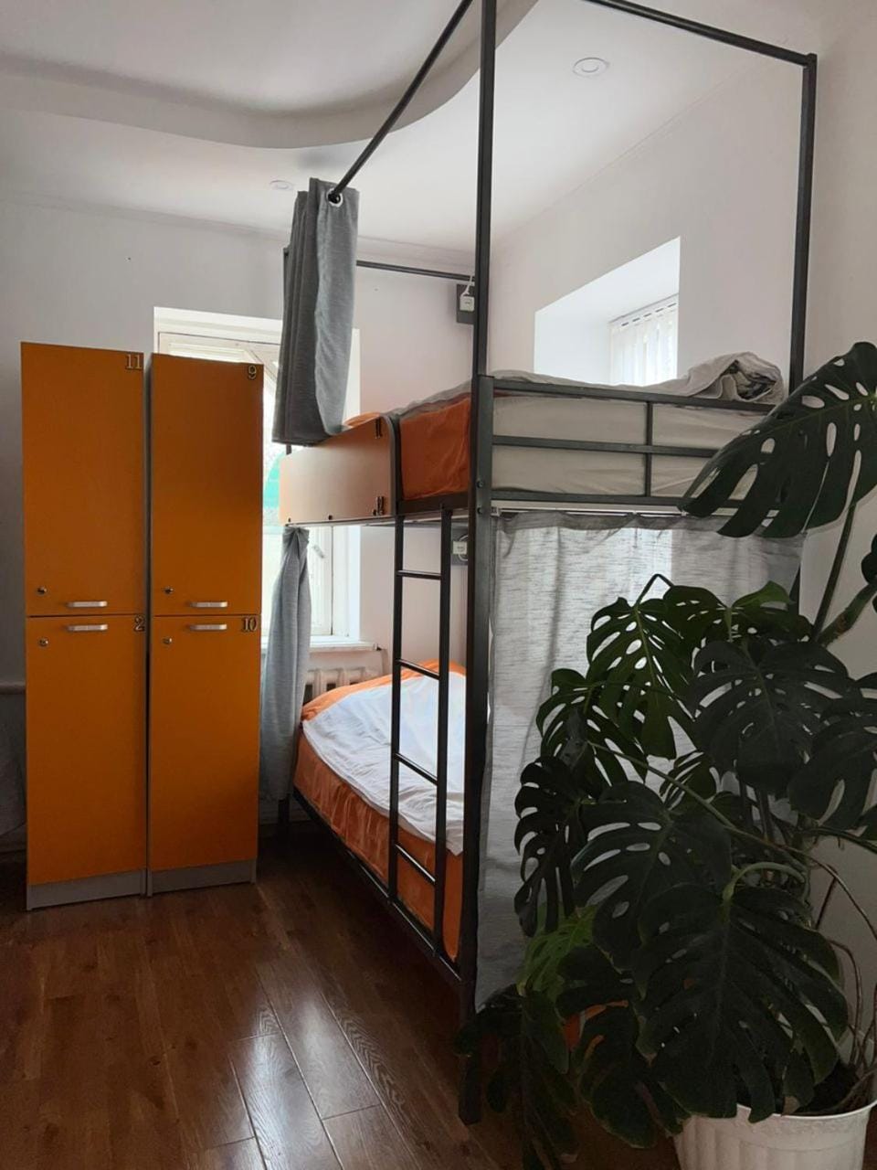 bunk bed