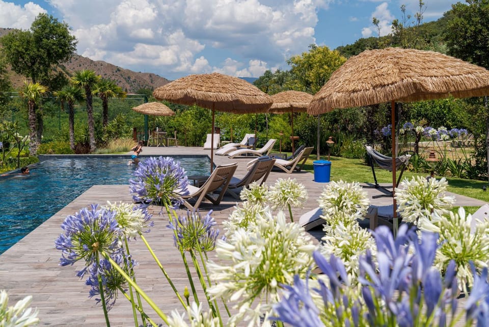 Natural landscape, Garden, Garden view, Mountain view, Pool view, Swimming pool, sunbed