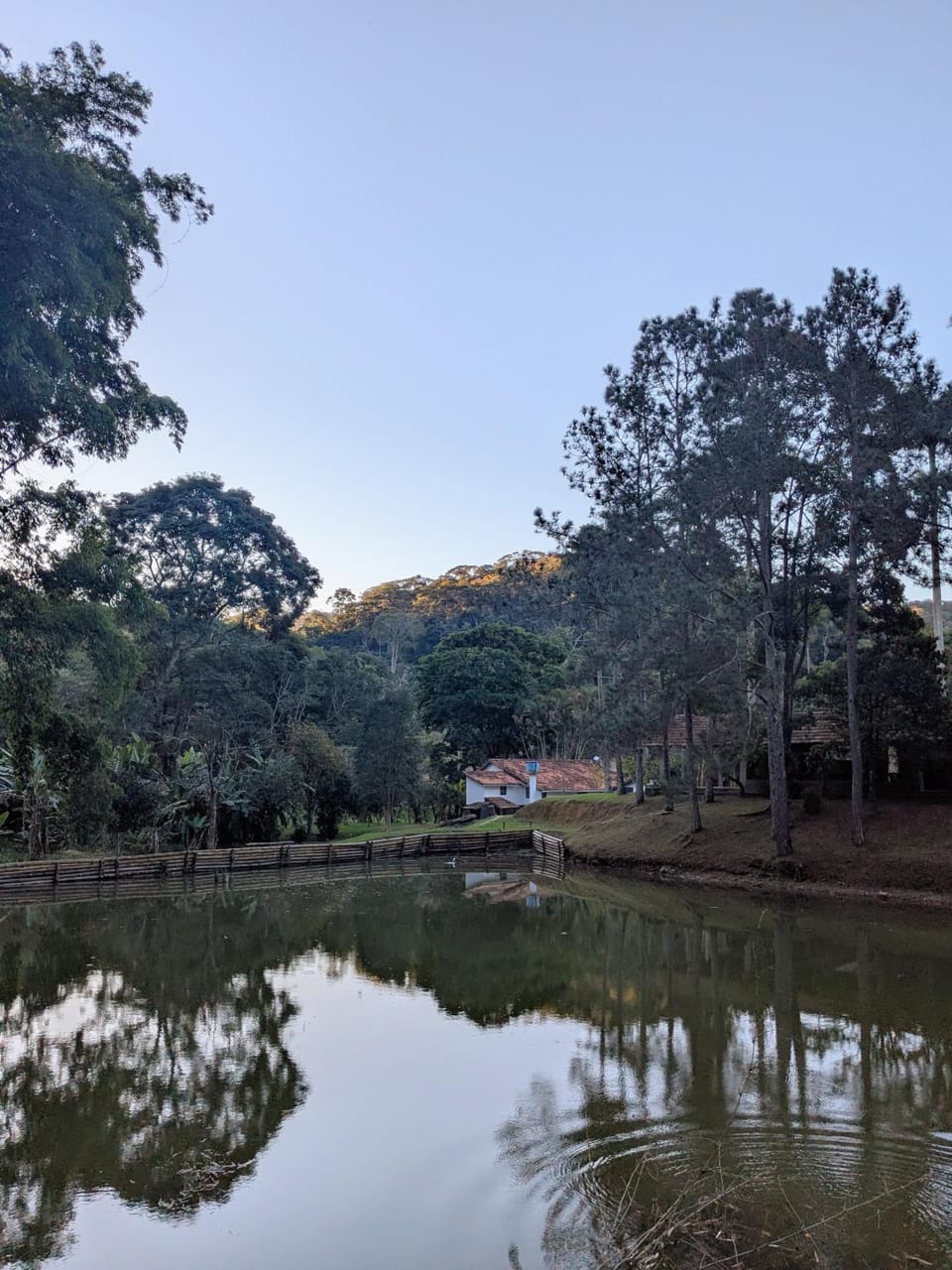 Day, Activities, Fishing, Lake view