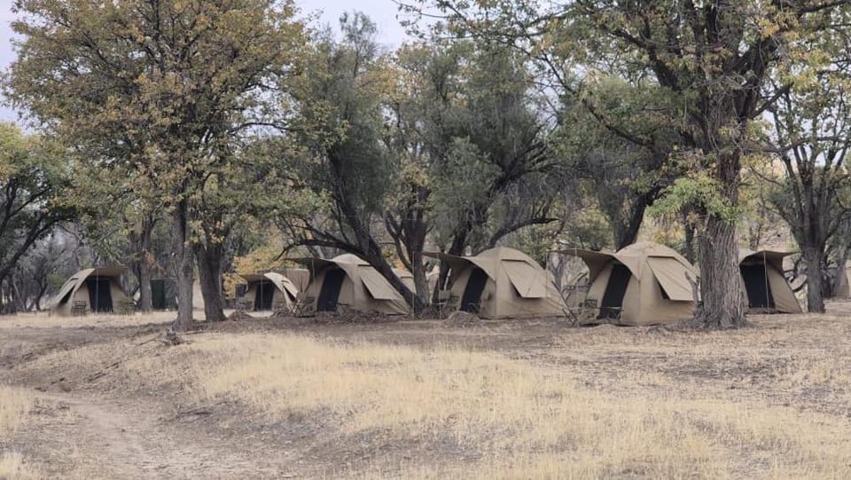 Mopani Elephant Camp - Tents Luxury tent in Namibia