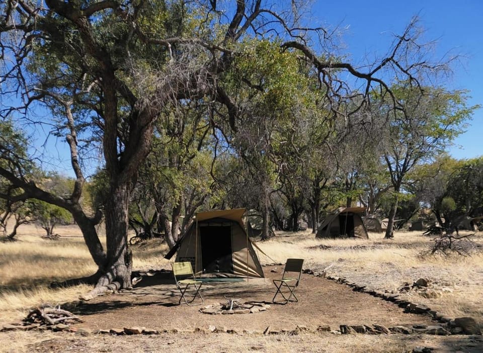 Mopani Elephant Camp - Tents Luxury tent in Namibia