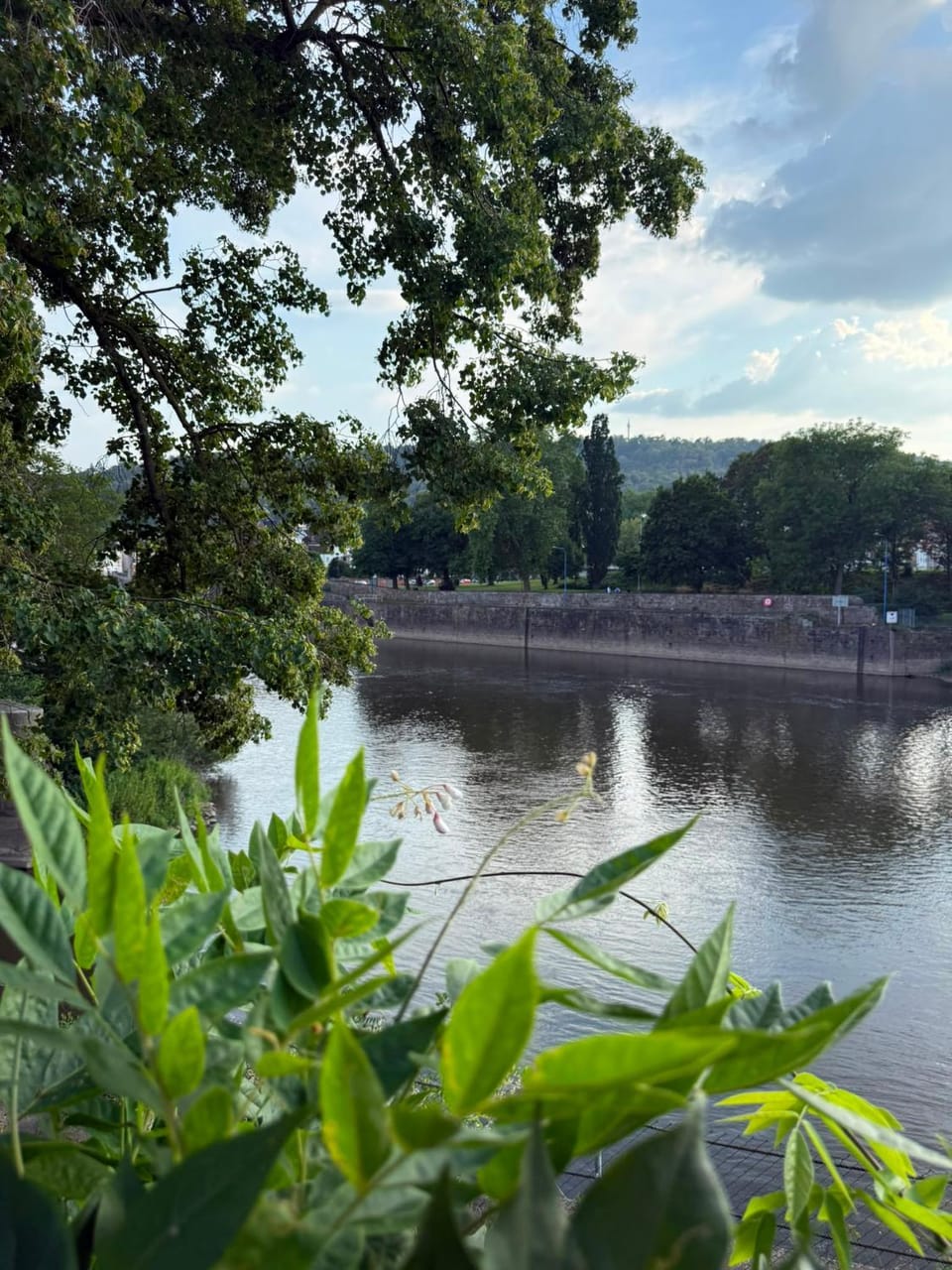River view