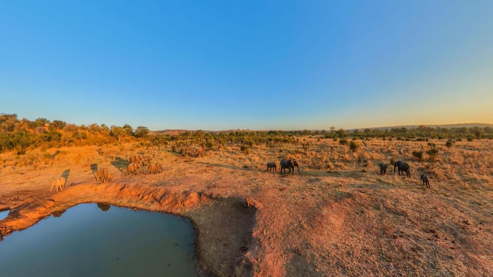 Natural landscape, Animals, Area and facilities, Sunset