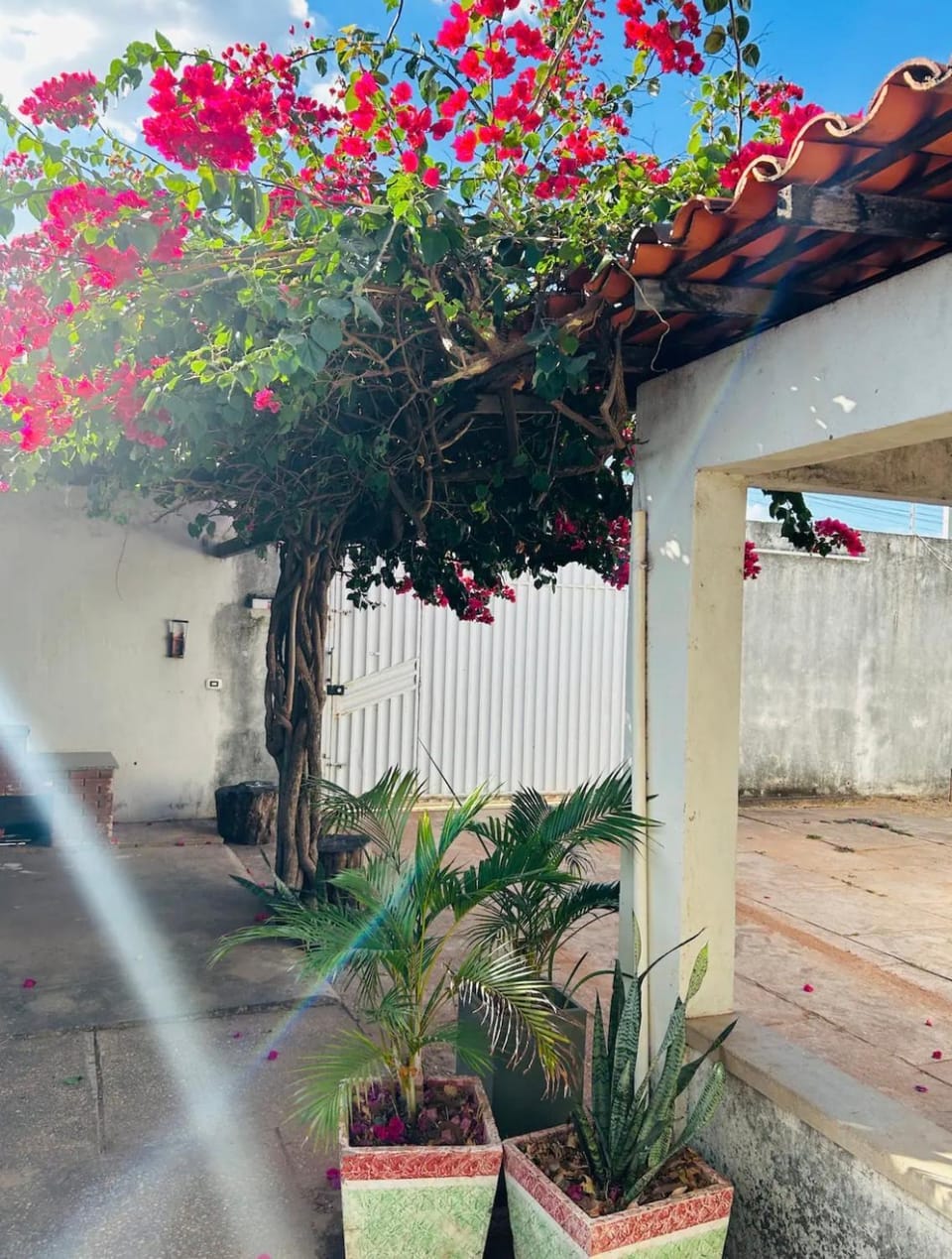 Garden, Garden view