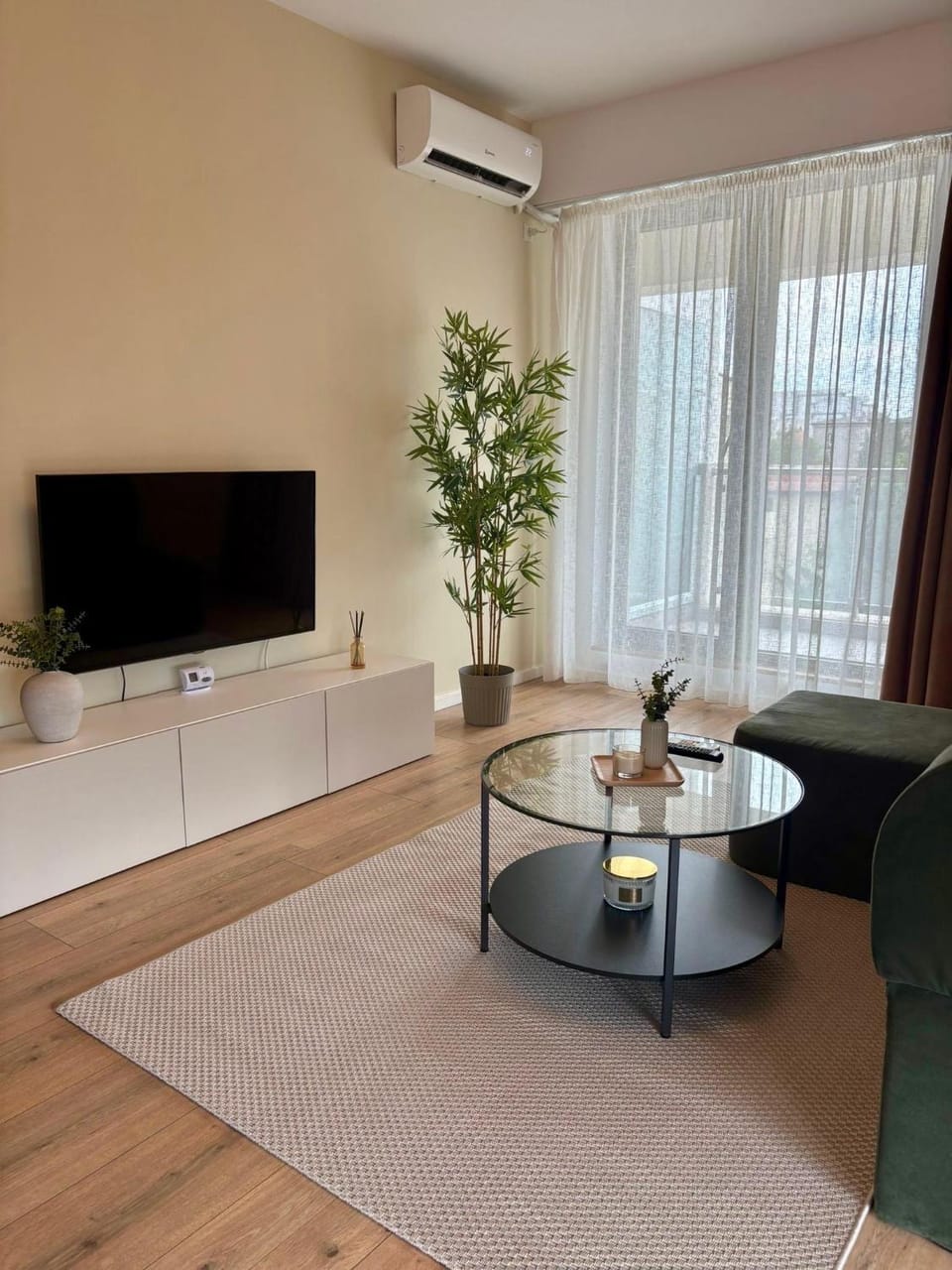 Communal lounge/ TV room, Living room, air conditioner