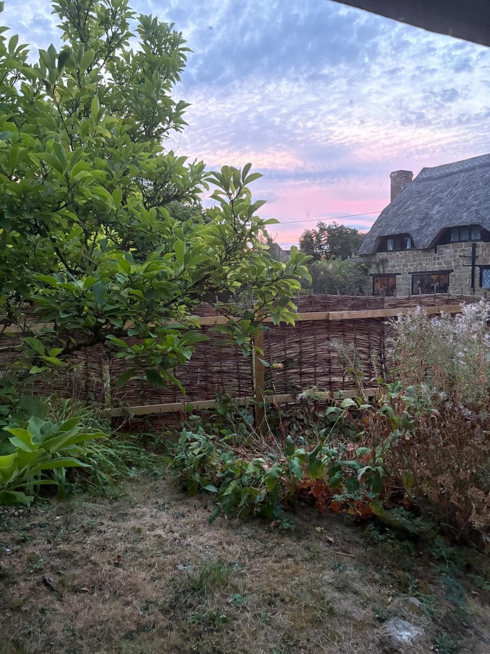 Garden view