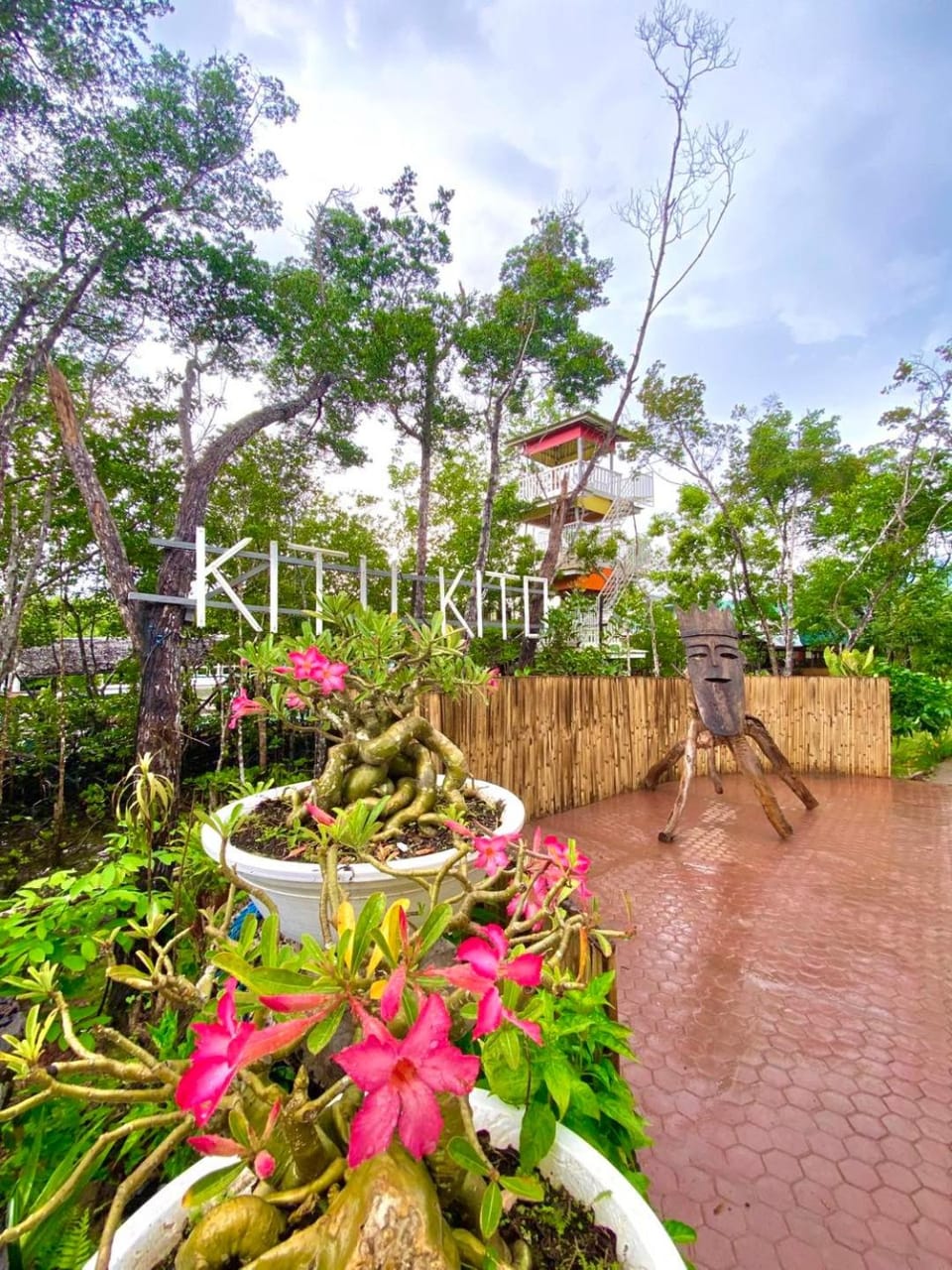 Day, Garden, Garden view