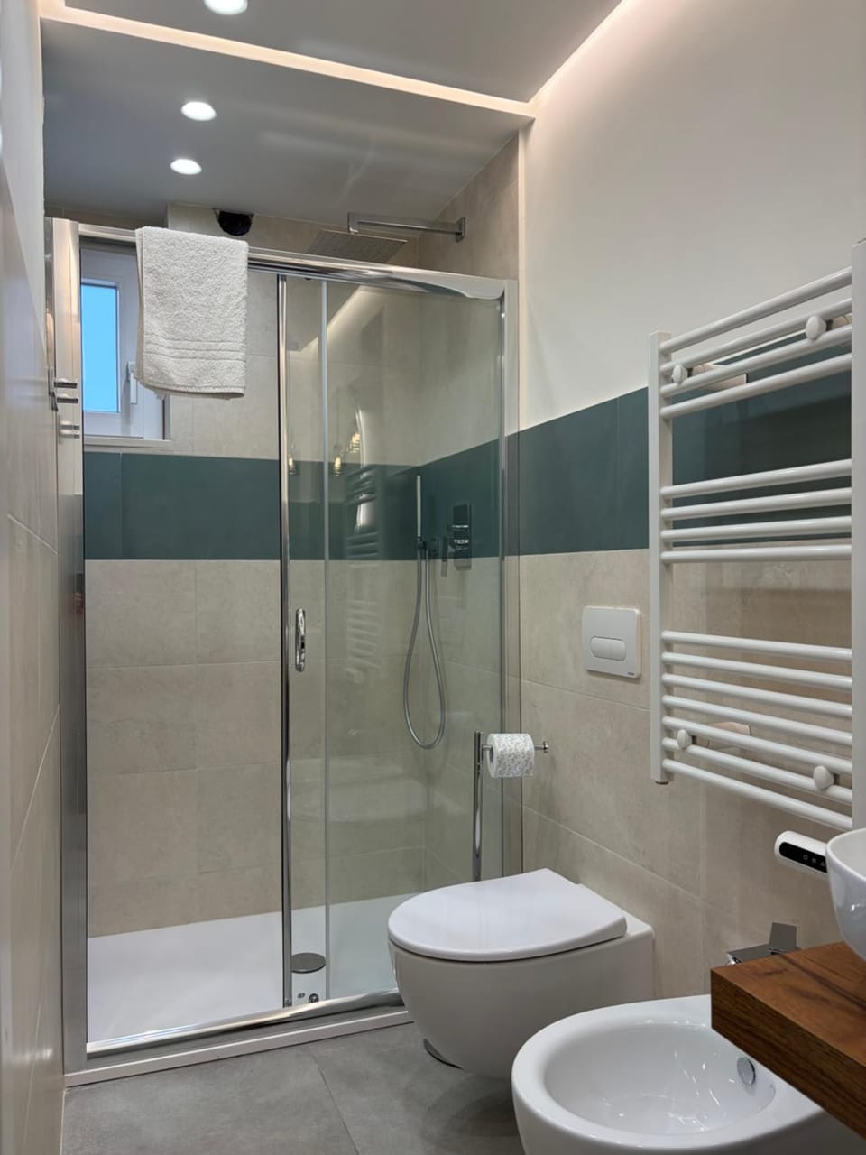 Shower, Toilet, Bathroom, bidet, towels