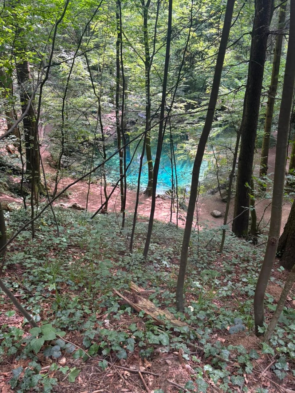 Casa Alexia Campground/ 
RV Resort in Romania