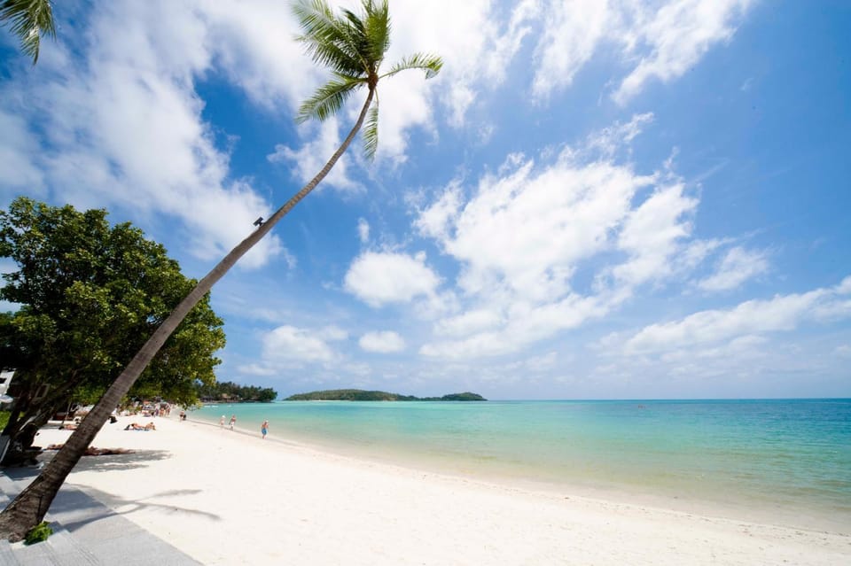 Off site, Neighbourhood, Natural landscape, Garden, Beach, Beach, On site, Area and facilities, Area and facilities, Location
