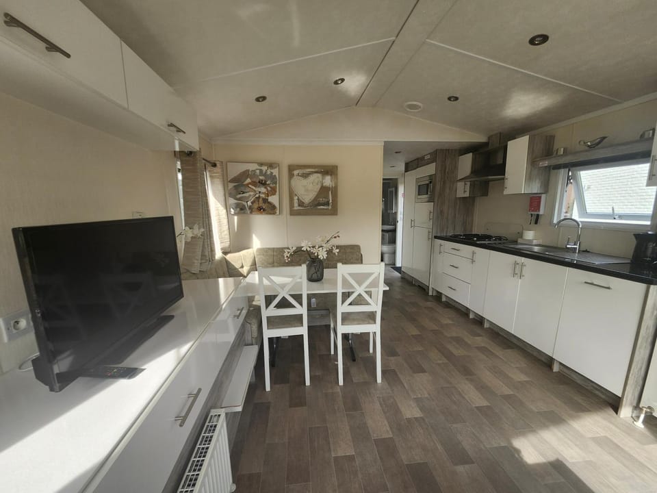 Kitchen or kitchenette, Dining area, dishwasher, stove