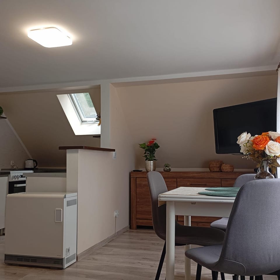 Apartament w sercu Jedliny-Zdrój Piastowska 40 m6 Apartment in Lower Silesian Voivodeship