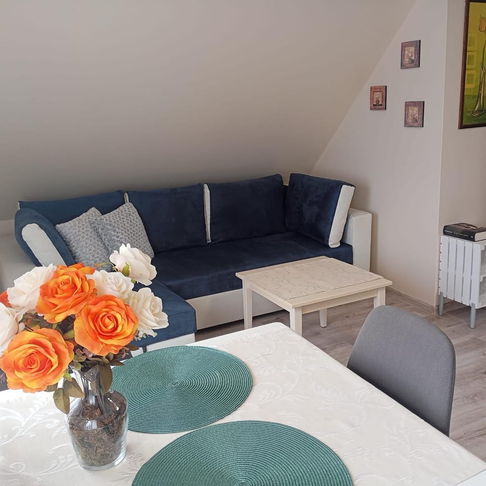 Apartament w sercu Jedliny-Zdrój Piastowska 40 m6 Apartment in Lower Silesian Voivodeship