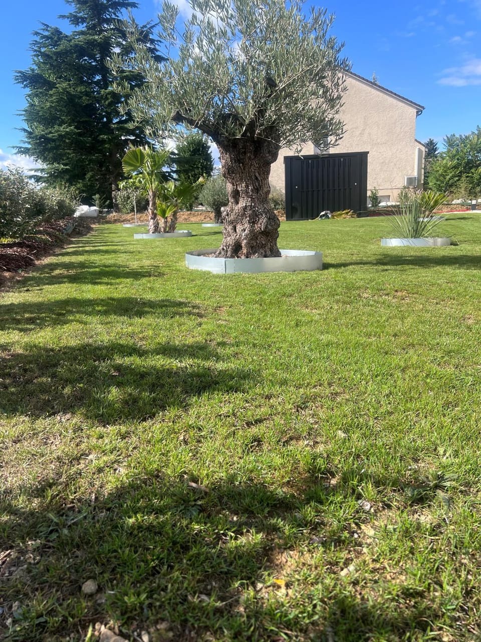 Day, Natural landscape, Garden, Garden