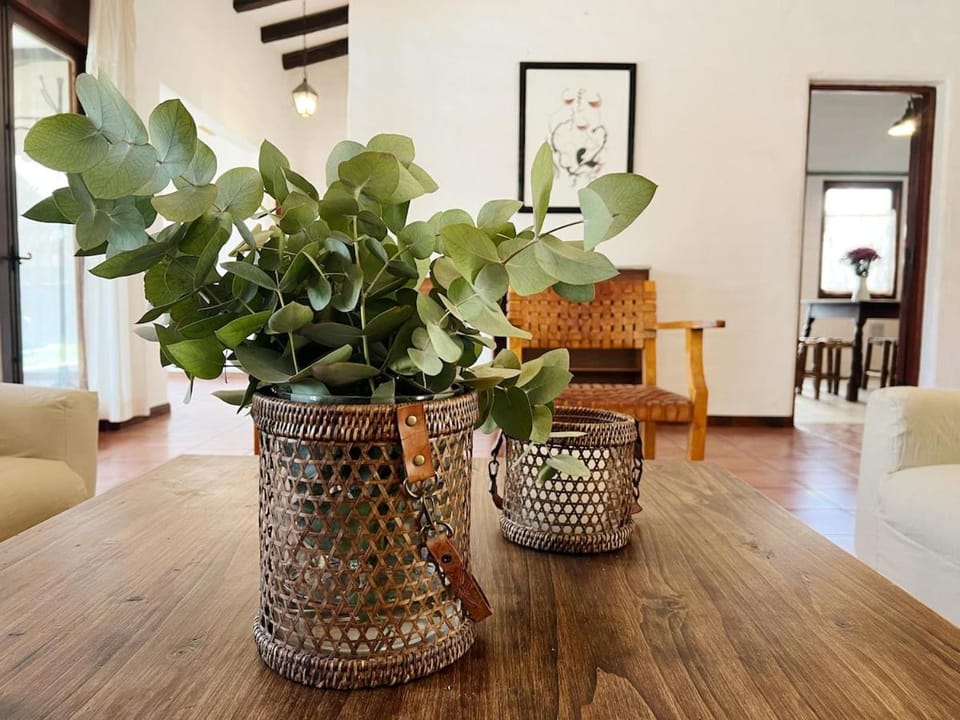 Classic and warm with a wonderful garden, Chacras House in Luján de Cuyo