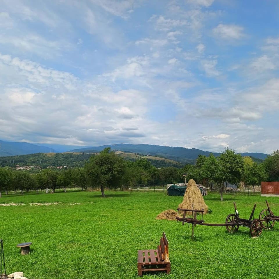 Natural landscape
